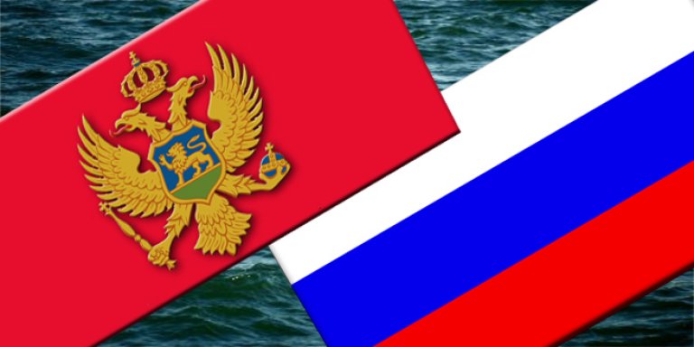 Реальное и дистанционное Черногорско-Российское сотрудничество в медико-социальной сфере 